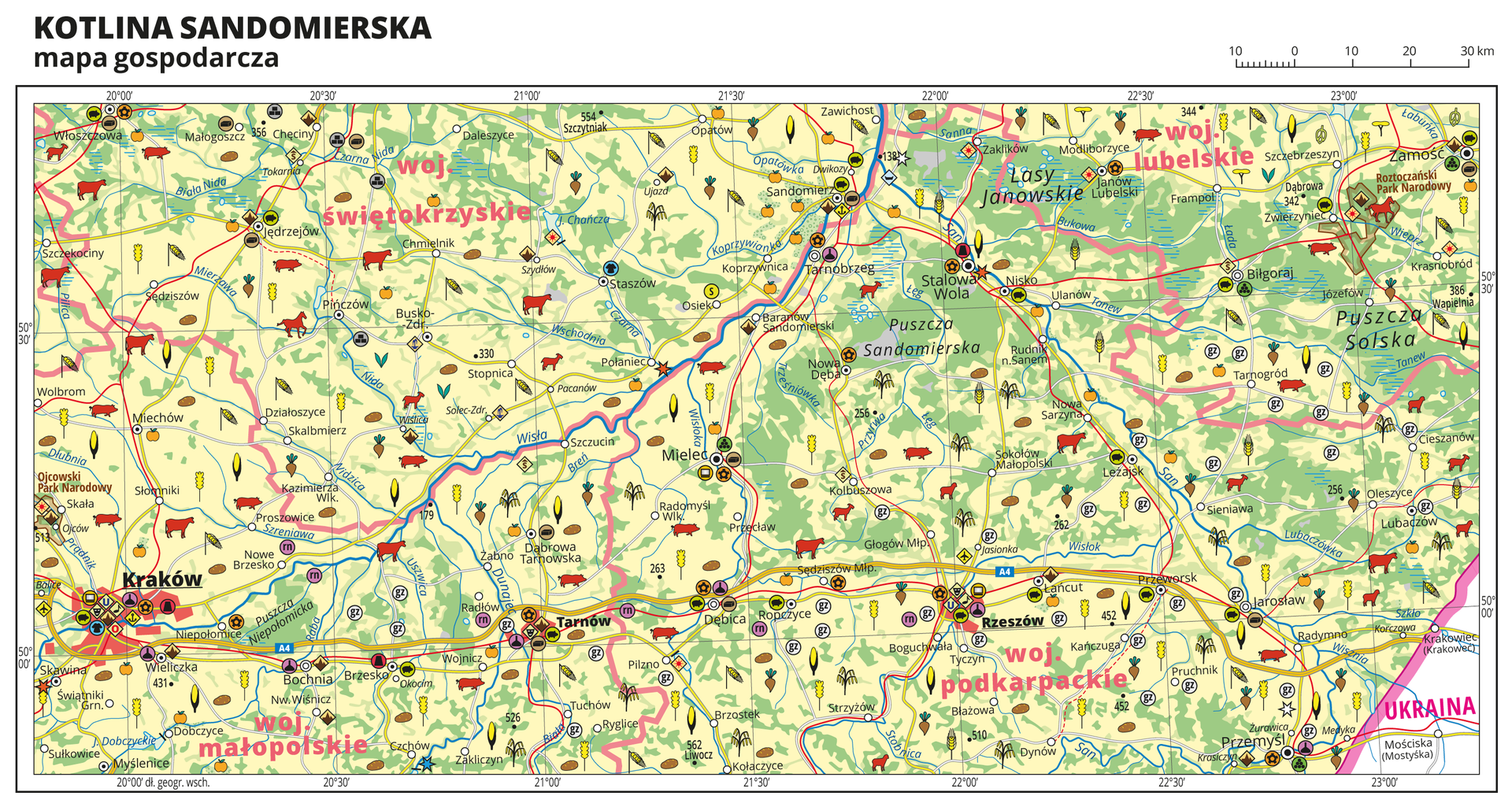 Ilustracja przedstawia mapę gospodarczą Kotliny Sandomierskiej. Tło mapy w kolorze żółtym (grunty orne), jasnozielonym (łąki i pastwiska) i zielonym (lasy). Mapa obejmuje tereny od Krakowa po Zamość. Na mapie sygnatury obrazujące uprawy poszczególnych roślin, hodowlę zwierząt, przemysł, górnictwo i energetykę, komunikację, turystykę, naukę, kulturę i sztukę. Największe zagęszczenie sygnatur w Krakowie. Duże zagęszczenie sygnatur w Tarnowie, Rzeszowie, Sandomierzu i Zamościu. Na obszarze całej mapy rozmieszczone sygnatury hodowli i upraw. Na mapie przedstawiono sieć dróg i kolei, porty wodne i lotnicze, granice województw, granicę państwa. Opisano województwa świętokrzyskie, małopolskie, podkarpackie i lubelskie. Opisano kompleksy leśne, na przykład Puszczę Sandomierską i parki narodowe. W prawym dolnym rogu mapy opisano Ukrainę. Mapa zawiera południki i równoleżniki, dookoła mapy w białej ramce opisano współrzędne geograficzne co trzydzieści minut.