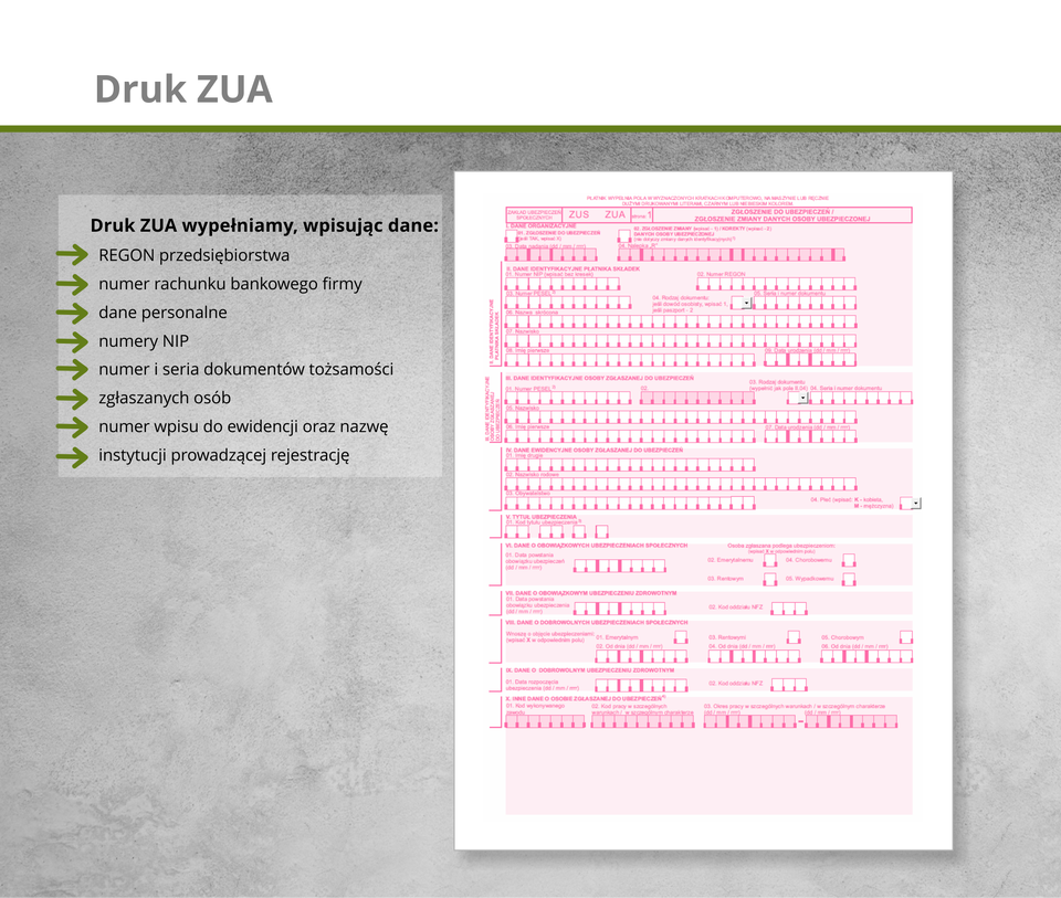 Ilustracja przedstawia druk ZUA.