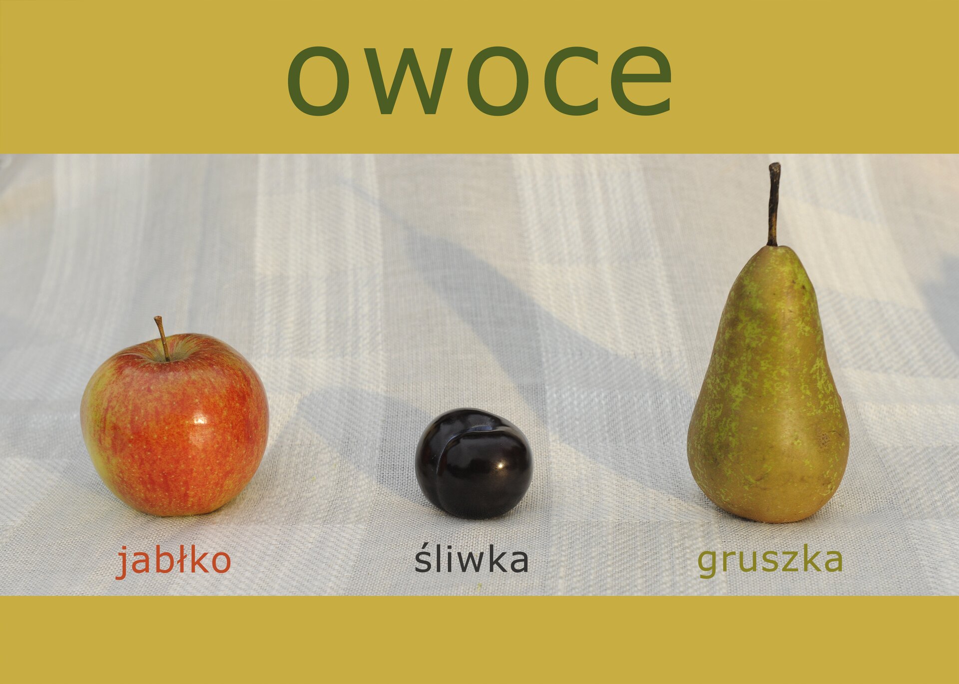 Fotografia przedstawiająca owoce z podpisami i tytułem