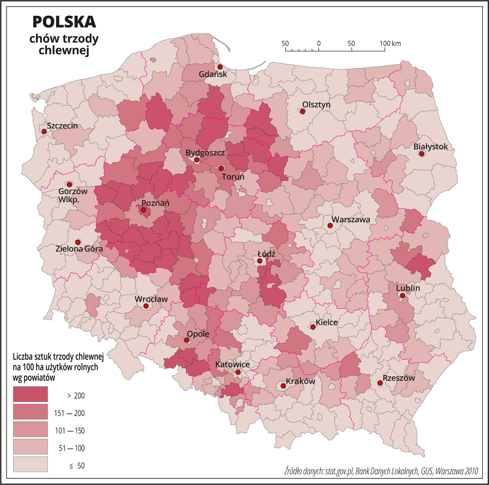 Ilustracja przedstawia mapę Polski z podziałem na powiaty, na której za pomocą kolorów przedstawiono liczbę sztuk trzody chlewnej na sto hektarów użytków rolnych wg powiatów. Na mapie czerwonymi liniami oznaczono granice województw, a czarnymi granice powiatów, czerwonymi kropkami oznaczono miasta wojewódzkie i je opisano. Najciemniejszym odcieniem koloru różowego oznaczono obszary, gdzie występuje powyżej dwustu sztuk trzody chlewnej na sto hektarów użytków rolnych. Jest to województwo wielkopolskie i kujawsko-pomorskie. Bezpośrednio do tych obszarów przylegają powiaty oznaczone nieco jaśniejszymi odcieniami koloru różowego obrazującymi występowanie od stu do dwustu sztuk trzody chlewnej na sto hektarów użytków rolnych. Pozostałą – przeważającą część Polski oznaczono najjaśniejszymi odcieniami koloru różowego obrazującymi występowanie poniżej stu sztuk trzody chlewnej na sto hektarów użytków rolnych. Poniżej mapy w legendzie opisano kolory użyte na mapie.