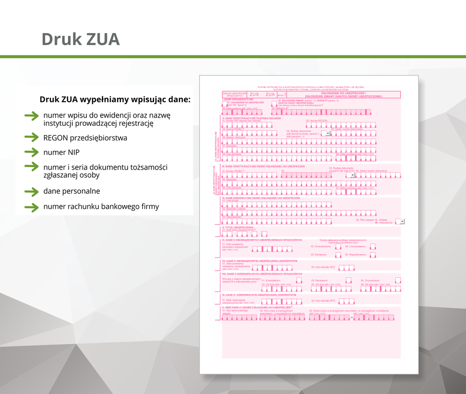 Ilustracja przedstawia druk ZUA.