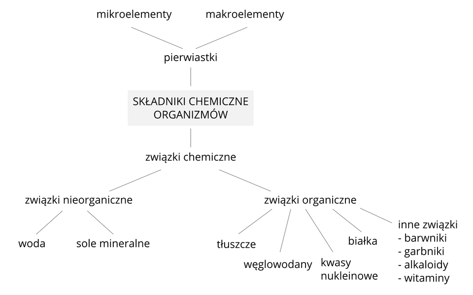 Ilustracja przedstawia schemat składników chemicznych, budujących organizm. Podzielono je na pierwiastki i związki organiczne. U góry są pierwiastki, które dzielą się na mikroelementy i makroelementy. U dołu znajduje się podział związków chemicznych na nieorganiczne i organiczne. Nieorganiczne to woda i związki mineralne. Organiczne to tłuszcze, węglowodany, białka, kwasy nukleinowe i inne.
