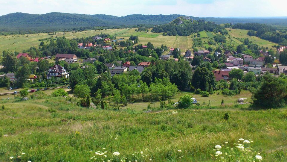 Na zdjęciu pofałdowany teren, zabudowania, drzewa, w tle wzniesienia, lasy.