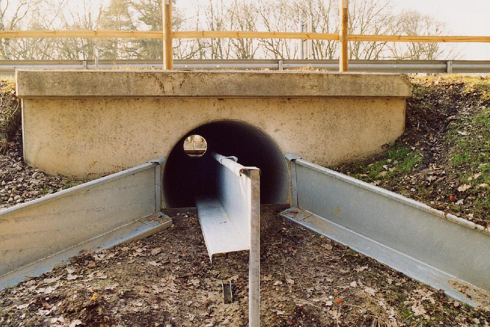 Fotografia przedstawia w ujęciu od przodu betonowy przepust pod drogą. Znajdują się w nim i po bokach metalowe szyny, ułatwiające małym zwierzętom bezpieczne przejście.