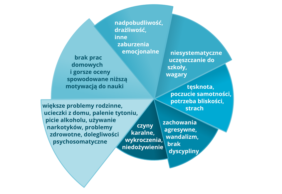 Na ilustracji schemat problemów „eurosierot” w Polsce. Wykres kołowy podzielony na siedem równych wycinków koła. Poszczególne wycinko koła w różnych odcieniach koloru niebieskiego. Na wycinkach zapisane problemy: 1. czyny karalne, wykroczenia, niedożywienie, 2. brak prac domowych i gorsze oceny spowodowane niższą motywacją do nauki, 3. niesystematyczne uczęszczanie do szkoły, wagary, 4. zachowania agresywne, wandalizm, brak dyscypliny, 5. nadpobudliwość, drażliwość, inne zaburzenia emocjonalne, 6. tęsknota, poczucie samotności, potrzeba bliskości, strach, 7. większe problemy rodzinne, ucieczki z domu, palenie tytoniu, picie alkoholu, używanie narkotyków, problemy zdrowotne, dolegliwości psychosomatyczne.