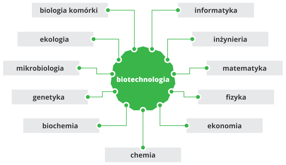 Grafika przedstawia umieszczony w środku napis biotechnologia, dookoła, w podanej kolejności:informatyka,inżynieria, matematyka, fizyka, ekonomia, chemia, biochemia, genetyka, mikrobiologia, ekologia, biologia komórki