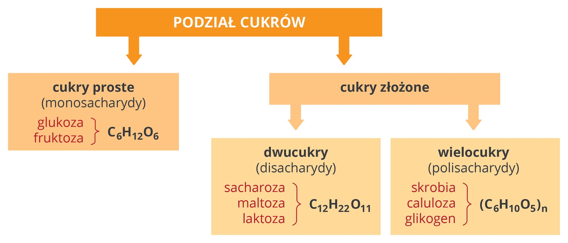 Podział cukrów