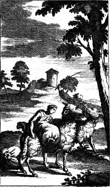 W drodze z baranami z Eldorado, ilustracja z pierwszego wydania Kandyda, XVIII wiek Kandyd i Kakambo z czerwonymi baranami Źródło: W drodze z baranami z Eldorado, ilustracja z pierwszego wydania Kandyda, XVIII wiek.