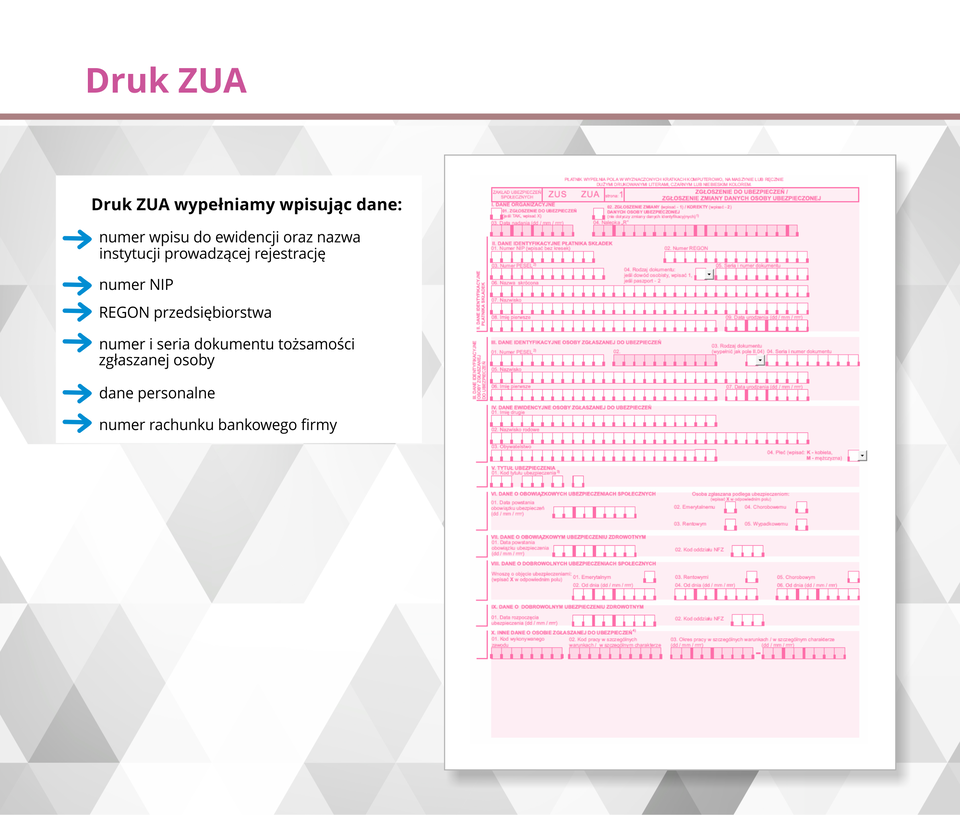 Ilustracja przedstawia druk ZUA.