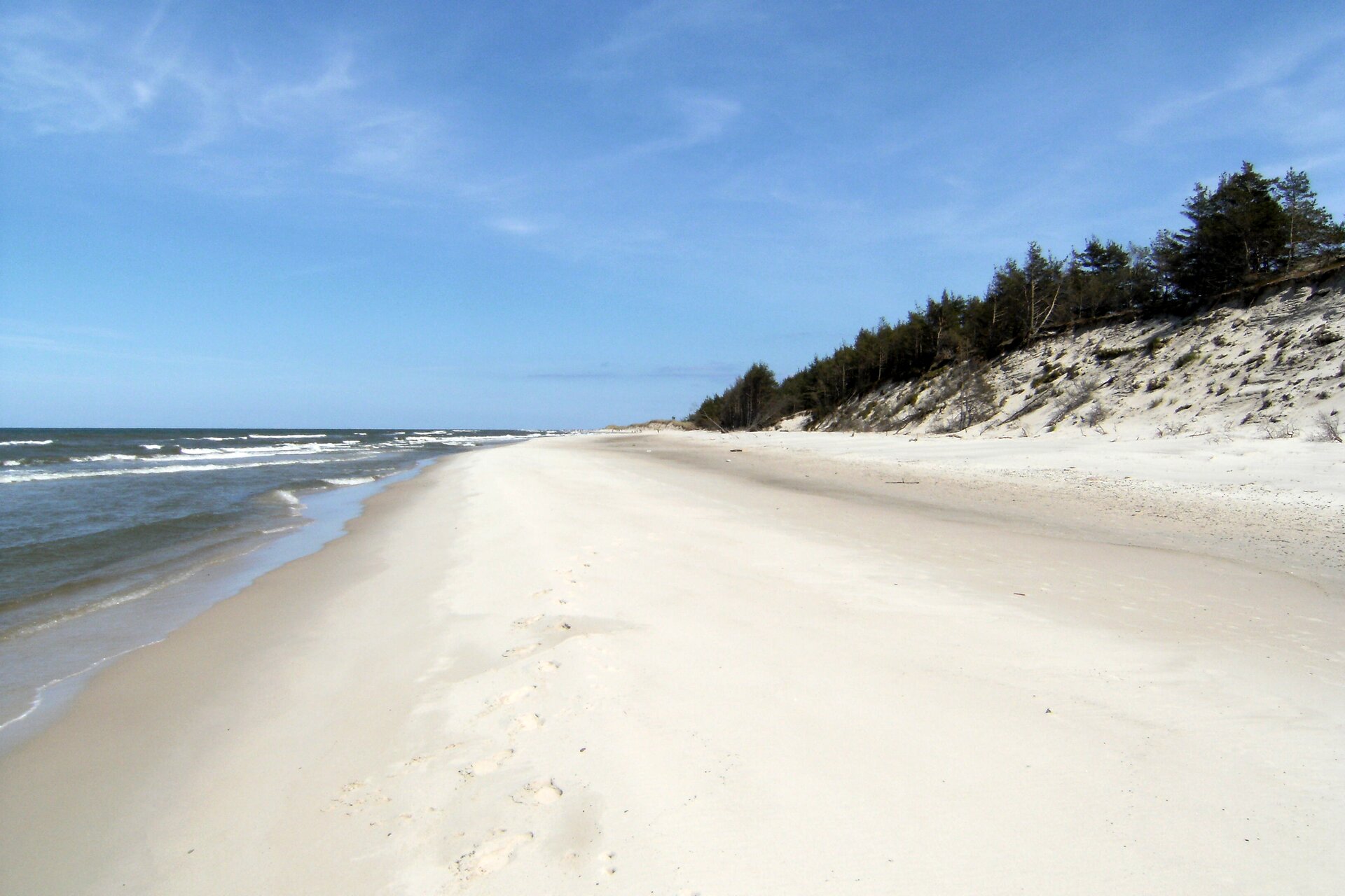 Na zdjęciu piaszczysta plaża, brzeg morza. Wydmy porośnięte kępami traw i niskimi drzewami.