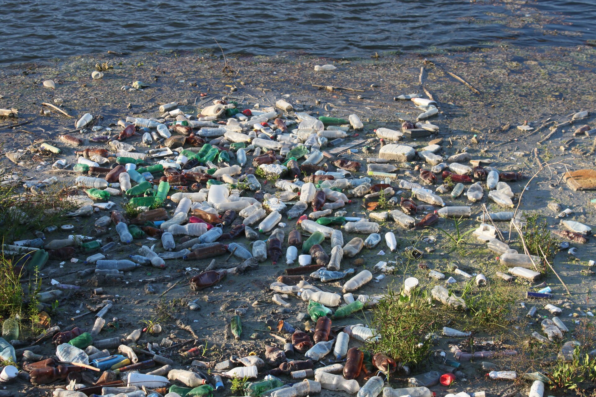 Zanieczyszczony brzeg jeziora Źródło: pixabay, Zanieczyszczony brzeg jeziora, licencja: CC 0.