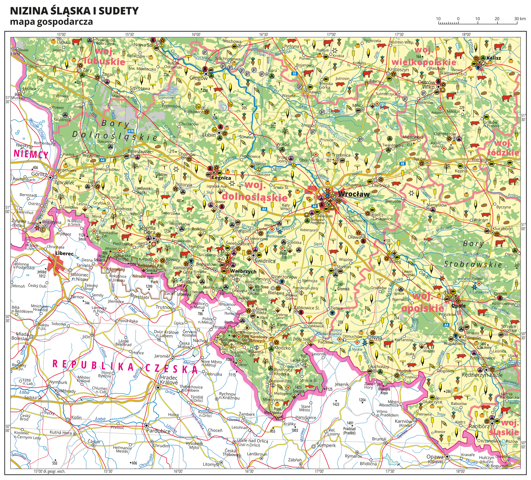 Ilustracja przedstawia mapę gospodarczą Niziny Śląskiej i Sudetów. Tło mapy w kolorze żółtym (grunty orne), jasnozielonym (łąki i pastwiska) i zielonym (lasy). Mapa obejmuje tereny Polski na południowym-zachodzie od granicy z Niemcami i Czechami po województwo łódzkie i śląskie na wschodzie, na północy sięgając Kalisza. W centralnej części mapy Wrocław. Na mapie sygnatury obrazujące uprawy poszczególnych roślin, hodowlę zwierząt, przemysł, górnictwo i energetykę, komunikację, turystykę, naukę, kulturę i sztukę. Największe zagęszczenie sygnatur we Wrocławiu. Duże zagęszczenie sygnatur w Wałbrzychu, Legnicy, Jeleniej Górze, Opolu, Ostrowie Wielkopolskim i Kaliszu. Na obszarze całej mapy rozmieszczone sygnatury hodowli i upraw. Na mapie przedstawiono sieć dróg i kolei, porty wodne i lotnicze, granice województw, granicę państwa. Opisano województwa lubuskie, dolnośląskie, opolskie, wielkopolskie, łódzkie i śląskie. Opisano Niemcy i Republikę Czeską. Opisano kompleksy leśne, na przykład Bory Dolnośląskie i parki narodowe. Mapa zawiera południki i równoleżniki, dookoła mapy w białej ramce opisano współrzędne geograficzne co trzydzieści minut.