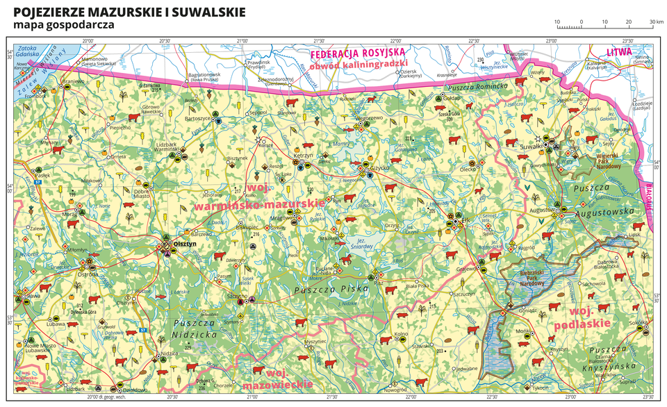 Ilustracja przedstawia mapę gospodarczą Pojezierza Mazurskiego i Suwalskiego. Tło mapy w kolorze żółtym (grunty orne), jasnozielonym (łąki i pastwiska) i zielonym (lasy). Liczne jeziora i tereny podmokłe. Na mapie sygnatury obrazujące uprawy poszczególnych roślin, hodowlę zwierząt, przemysł, górnictwo i energetykę, komunikację, turystykę, naukę, kulturę i sztukę. Na północy fragment Zatoki Gdańskiej i Zalewu Wiślanego, Federacja Rosyjska (obwód kaliningradzki), Litwa. Mapa obejmuje tereny od Fromborku na zachodzie po wschodnią granicę Polski, na południu sięgając Działdowa. Największe zagęszczenie sygnatur w Olsztynie, duże zagęszczenie sygnatur w Giżycku, Suwałkach i Ełku. Na mapie przedstawiono sieć dróg i kolei, porty wodne, granice województw, granicę państwa. Opisano województwa warmińsko-mazurskie, podlaskie i mazowieckie, Federację Rosyjską i obwód kaliningradzki, Litwę, Białoruś. Opisano kompleksy leśne, na przykład Puszczę Augustowską. Mapa zawiera południki i równoleżniki, dookoła mapy w białej ramce opisano współrzędne geograficzne co trzydzieści minut.