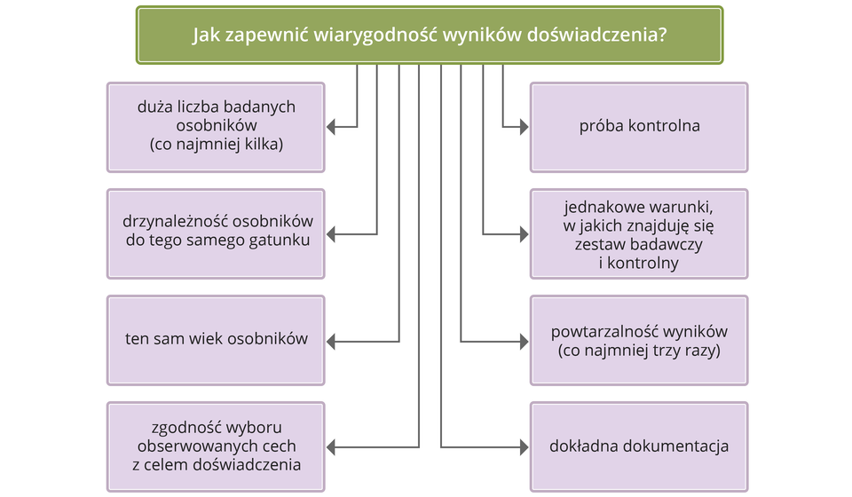 Schemat przedstawia listę warunków zapewnienia wiarygodności doświadczenia. 1. Duża liczba badanych osobników (co najmniej kilka). 2. Przynależność osobników do tego samego gatunku. 3. Ten sam wiek osobników. 4. Próba kontrolna. 5. Powtarzalność wyników (co najmniej trzy razy). 6. Dokładna dokumentacja.