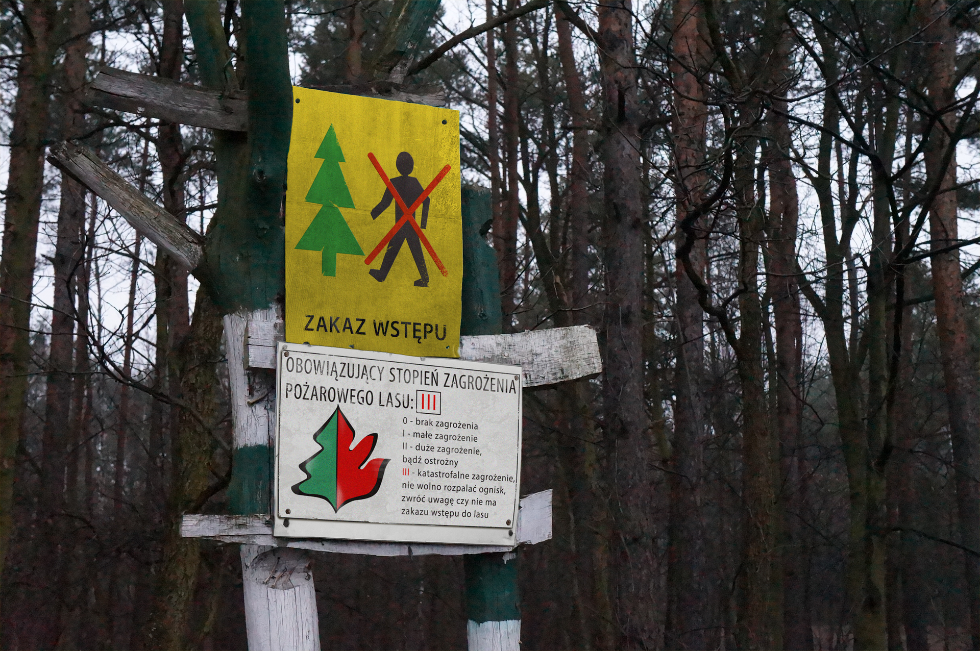 Zdjęcie tabliczki informującej o stopniu zagrożenia pożarowego oraz tabliczka „zakaz wstępu do lasu”