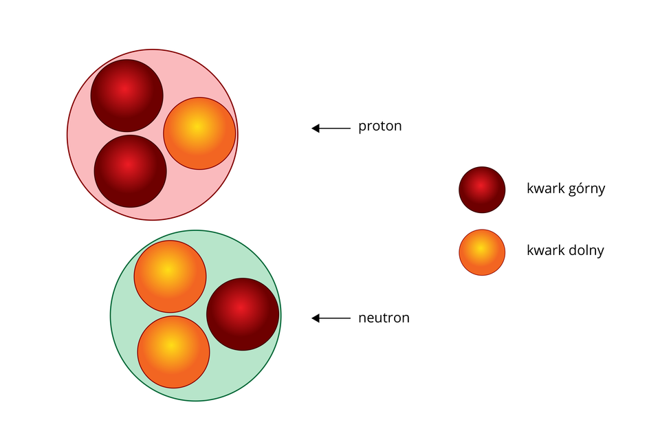 Schemat przedstawiający proton i neutron jako zbiór kwarków