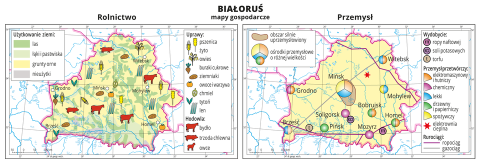 Ilustracja przedstawia dwie mapy gospodarcze Białorusi. Mapa pierwsza – rolnictwo, mapa druga – przemysł. Na mapie rolnictwa tło w kolorze żółtym (grunty orne), jasnozielonym (łąki i pastwiska), zielonym (lasy) i szarym (nieużytki). Na mapie sygnatury obrazujące uprawy roślin (pszenica, żyto, buraki cukrowe, ziemniaki, owoce, warzywa, tytoń i len) oraz hodowlę zwierząt (bydło, trzoda chlewna i owce). Na mapie przemysłu sygnatury kołowe – ośrodki przemysłowe. Duże w Mińsku, mniejsze w Grodnie, Brześciu, Mohylewie i innych miejscowościach. Przemysł elektromaszynowy i hutniczy, chemiczny, lekki, drzewny i papierniczy oraz spożywczy. Elektrownia cieplna w pobliżu Mińska oznaczona gwiazdką, ropociąg i gazociąg oznaczone liniami. Sygnaturami oznaczone wydobycie ropy naftowej, soli potasowych i torfu. Obie mapy zawierają południki i równoleżniki, dookoła map w białych ramkach opisano współrzędne geograficzne co dwa stopnie.