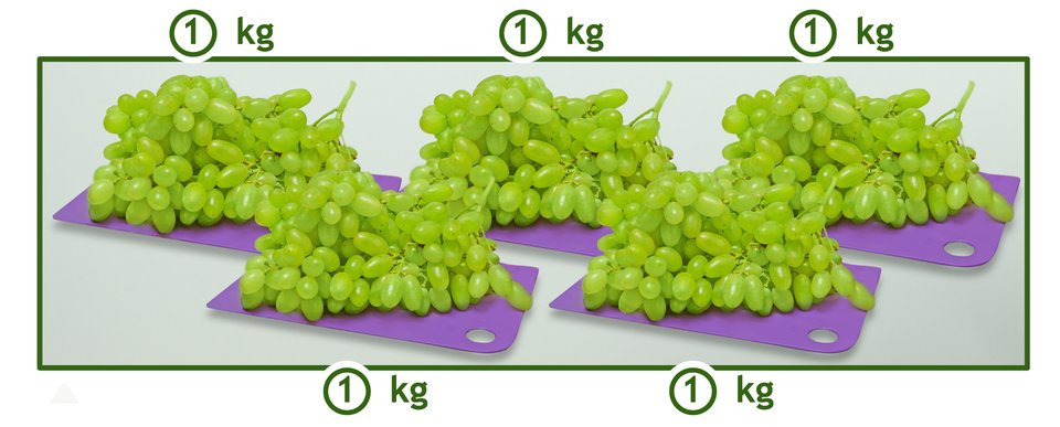 Rysunek pięciu tacek winogron. Na każdej leży 1 kilogram. Cena winogron 2 euro za 1 kilogram. Ile zapłacimy za 5 kg winogron?