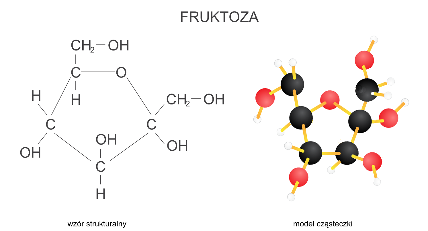 Budowa fruktozy