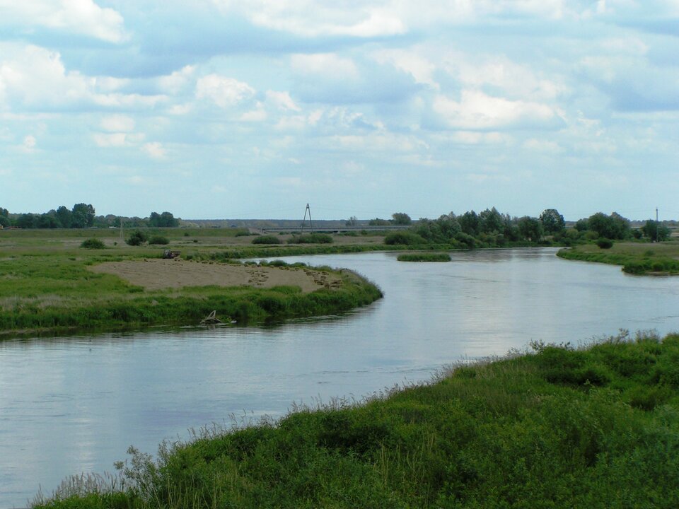 Na zdjęciu kręta rzeka w płaskim terenie. Brzegi porośnięte trawą.