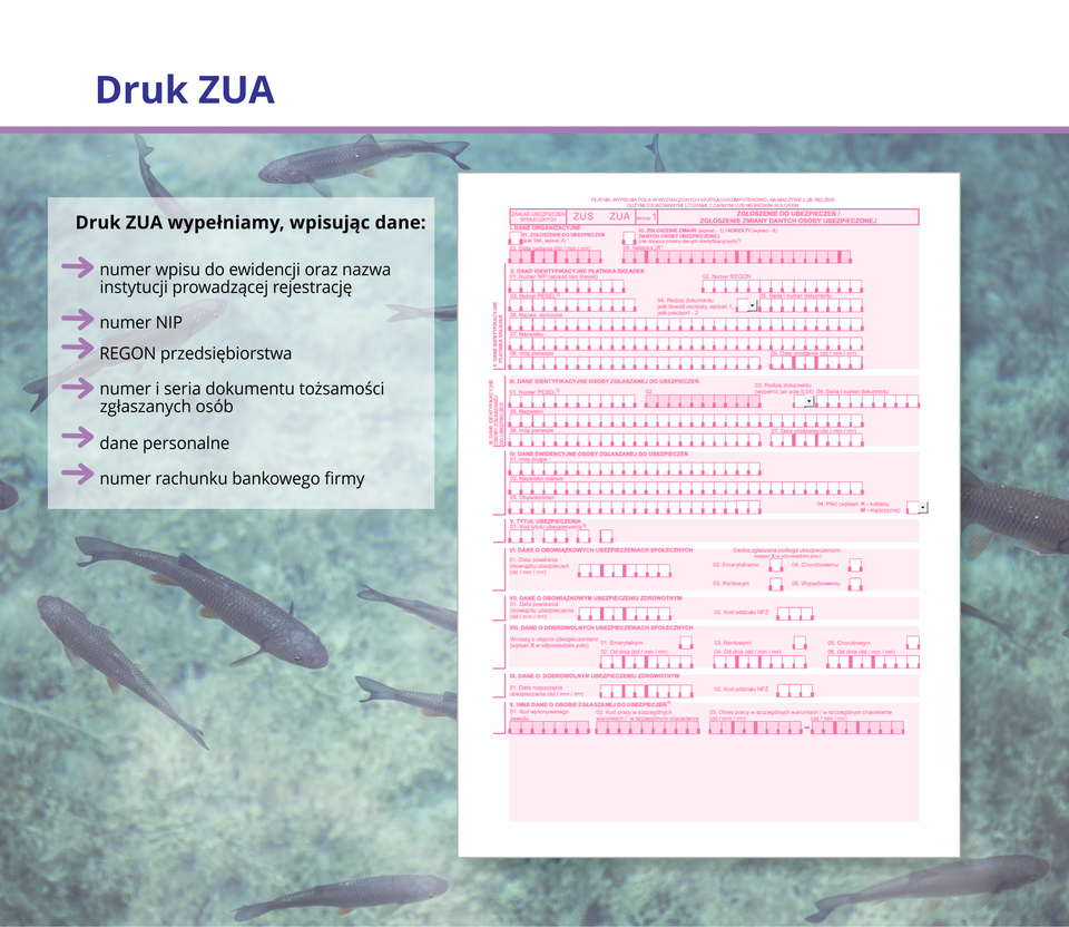Ilustracja przedstawia druk ZUA.
