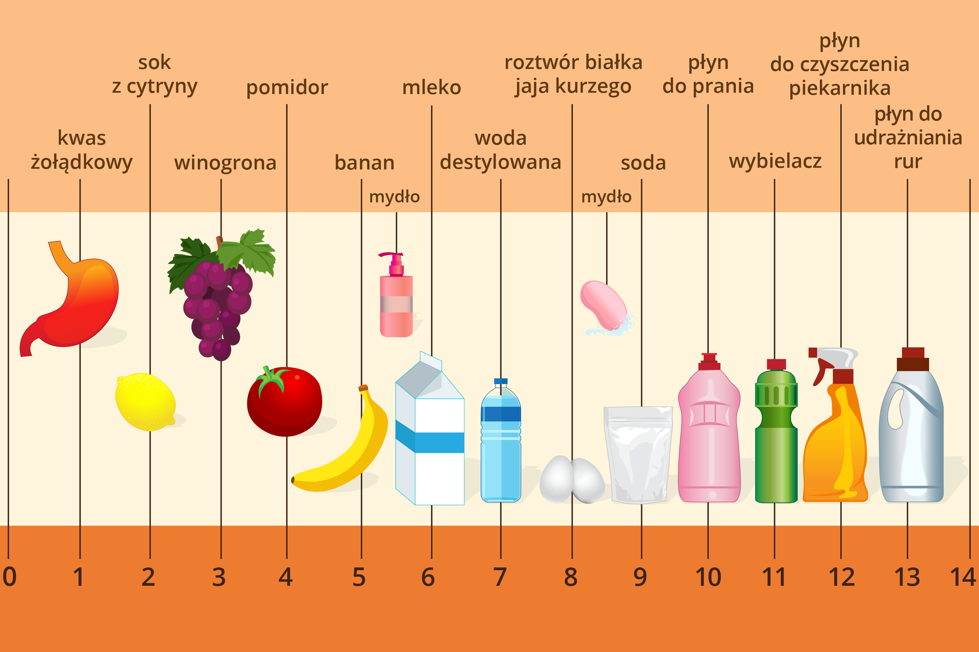 Kolorowa tabela opisująca odczyn przykładowych substancji w skali pH. W dolnej części ilustracji znajduje się skala ponumerowana od zera do czternastu. W centralnej części umieszczono rysunki różnych przedmiotów, obiektów naturalnych i substancji, a w górnej części ich nazwy. Z tabeli można się dowiedzieć, że kwas żołądkowy ma odczyn pH wynoszący 1, sok z cytryny dwa, winogrona trzy, pomidory cztery, banany pięć, mydło w płynie pięć i pół, mleko sześć, woda destylowana siedem (a więc jest obojętna), białko jajka kurzego osiem, mydło tradycyjne osiem i pół, soda dziewięć, płyn do prania dziesięć, wybielacz jedenaście, płyn do czyszczenia piekarnika dwanaście, a płyn do udrażniania rur trzynaście.