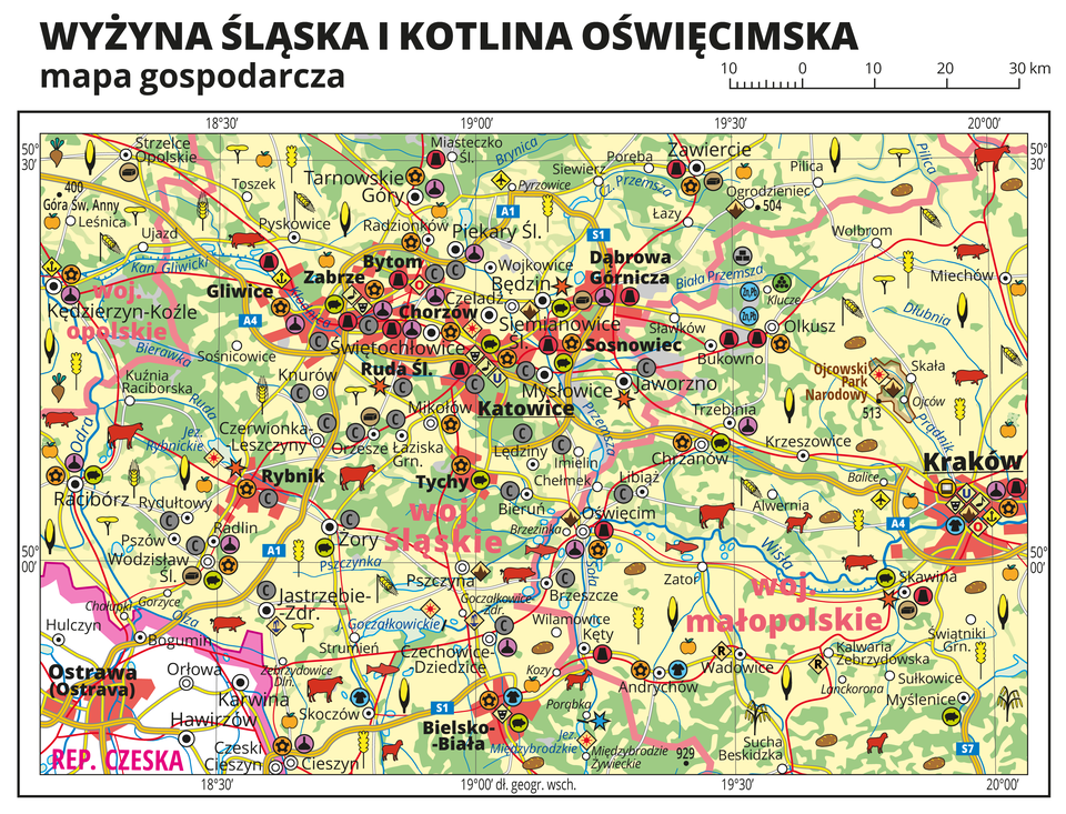 Ilustracja przedstawia mapę gospodarczą Wyżyny Śląskiej i Kotliny Oświęcimskiej. Tło mapy w kolorze żółtym (grunty orne), jasnozielonym (łąki i pastwiska) i zielonym (lasy). Mapa sięga od Kędzierzyna Koźla i Raciborza na zachodzie do Krakowa na wschodzie. W centralnej części Aglomeracja Śląska. W lewym dolnym rogu fragment Republiki Czeskiej i Ostrawa. Na mapie sygnatury obrazujące uprawy poszczególnych roślin, hodowlę zwierząt, przemysł, górnictwo i energetykę, komunikację, turystykę, naukę, kulturę i sztukę. Największe zagęszczenie sygnatur w Katowicach, Chorzowie, Sosnowcu, Dąbrowie Górniczej, Rudzie Śląskiej, Zabrzu, Gliwicach, Bytomiu i Krakowie. Duże zagęszczenie sygnatur w Zawierciu, Rybniku,Tarnowskich Górach, Raciborzu i Bielsku-Białej. Na obszarze całej mapy równomiernie rozłożone sygnatury związane z hodowlą zwierząt i uprawą roślin.Na mapie przedstawiono sieć dróg i kolei, porty wodne i lotnicze, granice województw, granicę państwa. Opisano województwa opolskie, śląskie i małopolskie. Opisano Republikę Czeską. Opisano parki narodowe.Mapa zawiera południki i równoleżniki, dookoła mapy w białej ramce opisano współrzędne geograficzne co trzydzieści minut.