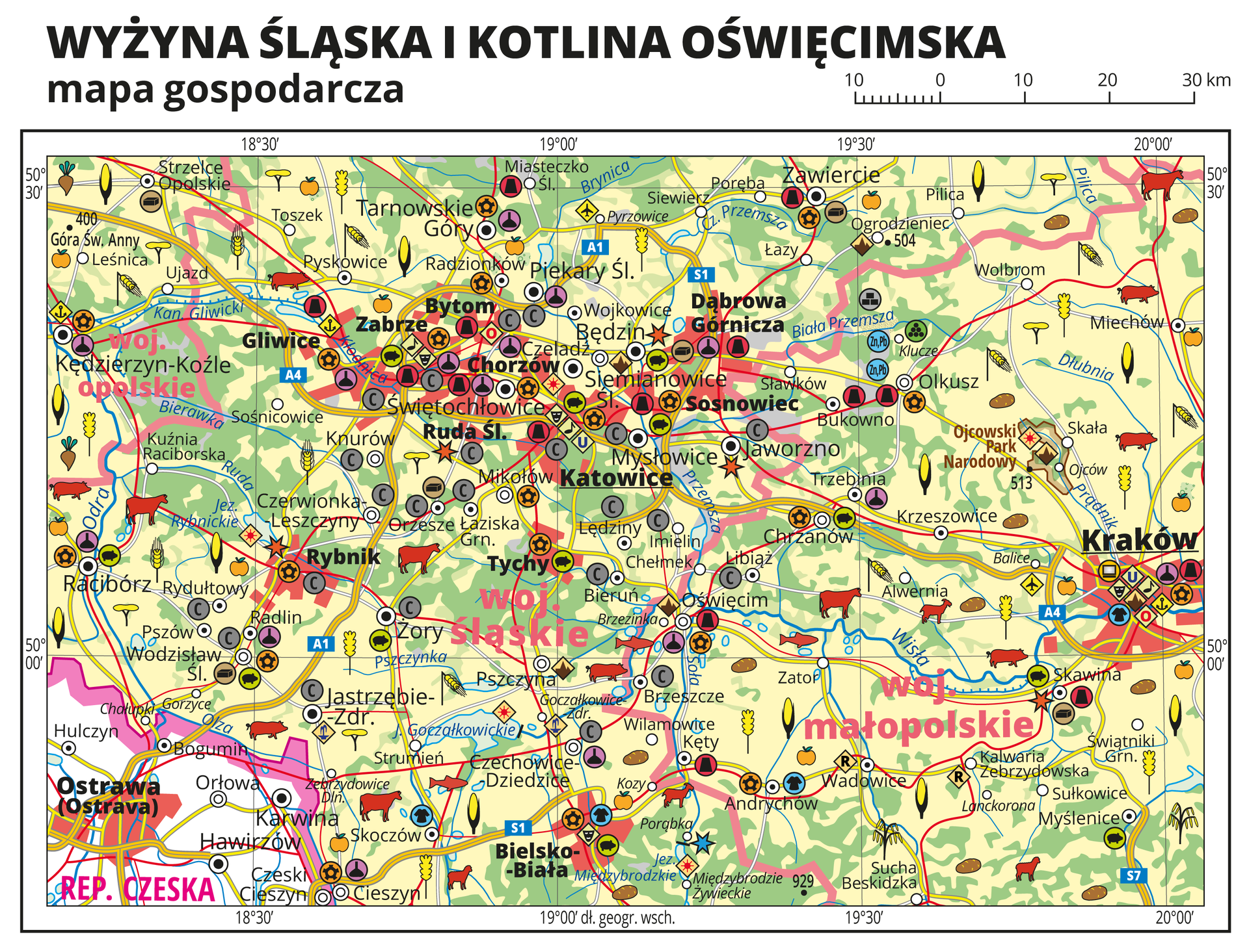 Ilustracja przedstawia mapę gospodarczą Wyżyny Śląskiej i Kotliny Oświęcimskiej. Tło mapy w kolorze żółtym (grunty orne), jasnozielonym (łąki i pastwiska) i zielonym (lasy). Mapa sięga od Kędzierzyna Koźla i Raciborza na zachodzie do Krakowa na wschodzie. W centralnej części Aglomeracja Śląska. W lewym dolnym rogu fragment Republiki Czeskiej i Ostrawa. Na mapie sygnatury obrazujące uprawy poszczególnych roślin, hodowlę zwierząt, przemysł, górnictwo i energetykę, komunikację, turystykę, naukę, kulturę i sztukę. Największe zagęszczenie sygnatur w Katowicach, Chorzowie, Sosnowcu, Dąbrowie Górniczej, Rudzie Śląskiej, Zabrzu, Gliwicach, Bytomiu i Krakowie. Duże zagęszczenie sygnatur w Zawierciu, Rybniku,Tarnowskich Górach, Raciborzu i Bielsku-Białej. Na obszarze całej mapy równomiernie rozłożone sygnatury związane z hodowlą zwierząt i uprawą roślin.Na mapie przedstawiono sieć dróg i kolei, porty wodne i lotnicze, granice województw, granicę państwa. Opisano województwa opolskie, śląskie i małopolskie. Opisano Republikę Czeską. Opisano parki narodowe.Mapa zawiera południki i równoleżniki, dookoła mapy w białej ramce opisano współrzędne geograficzne co trzydzieści minut.