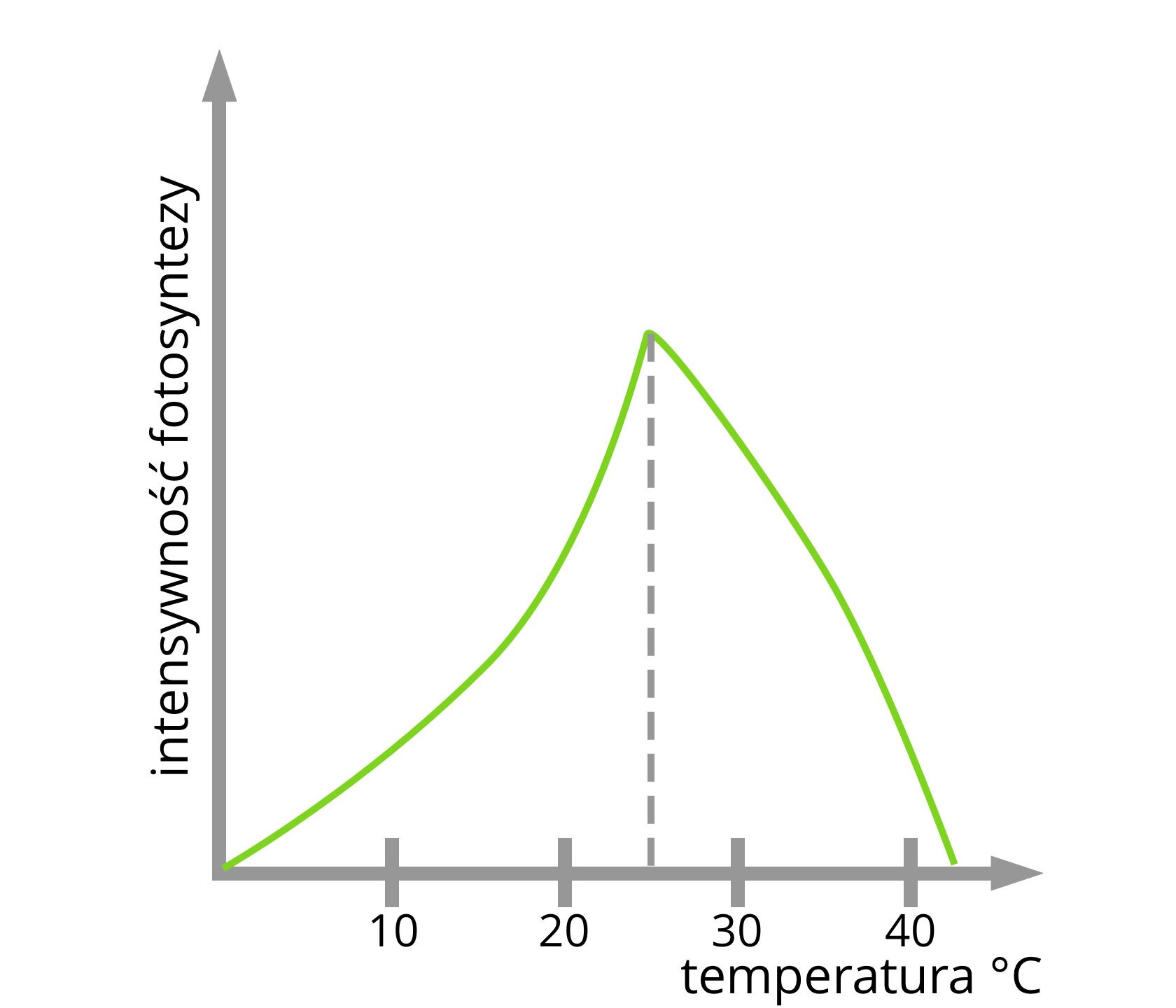 Wykres przedstawia zależność intensywności fotosyntezy od temperatury. Intensywność fotosyntezy wzrasta wraz ze wzrostem temperatury, aż do osiągnięcia 25 stopni, następnie maleje.