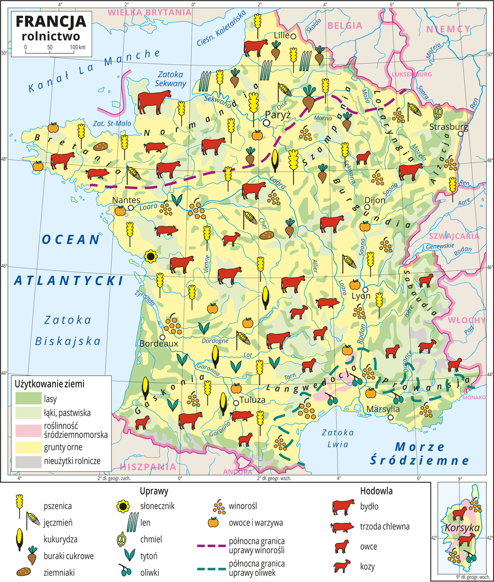 Ilustracja przedstawia mapę rolnictwa Francji. Kolorem żółtym przedstawiono grunty orne, jasnozielonym – łąki i pastwiska, zielonym lasy, różowym roślinność śródziemnomorską i szarym nieużytki rolnicze (Alpy i Pireneje). Na mapie sygnatury obrazujące uprawy roślin (pszenica, jęczmień, kukurydza, buraki cukrowe, ziemniaki, słonecznik, len, chmiel, tytoń, oliwki, winorośl, owoce i warzywa) oraz hodowlę zwierząt (bydło, trzoda chlewna, owce, kozy). Sygnatury rozmieszczone równomiernie na terenie całego kraju. W osobnym kartonie Korsyka. Mapa zawiera południki i równoleżniki, dookoła mapy w białej ramce opisano współrzędne geograficzne co dwa stopnie.
