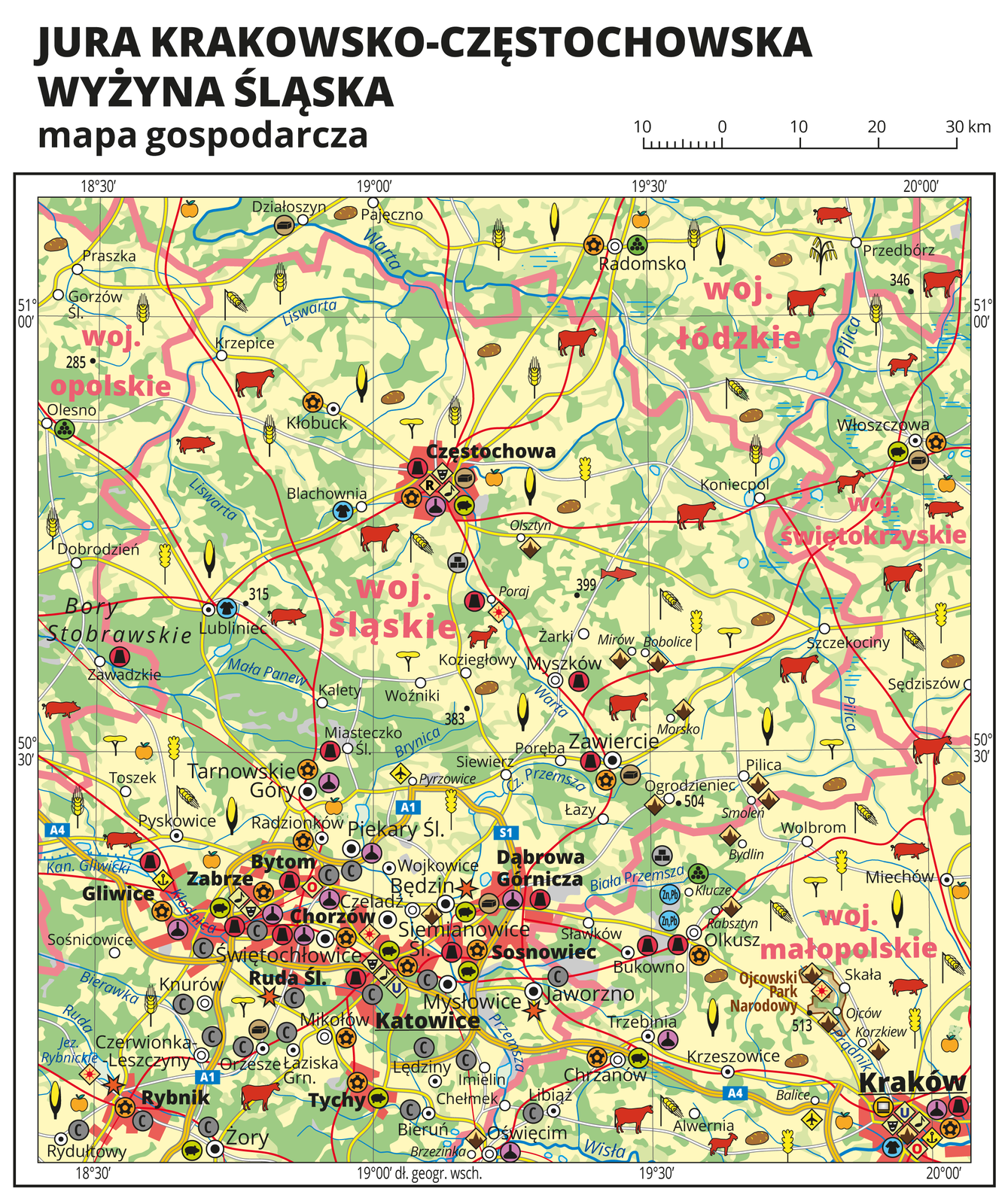 Ilustracja przedstawia mapę gospodarczą Jury Krakowsko-Częstochowskiej. Tło mapy w kolorze żółtym (grunty orne), jasnozielonym (łąki i pastwiska) i zielonym (lasy). Mapa sięga od Radomska na północy do Rybnika i Krakowa na południu. W południowo-zachodniej części mapy aglomeracja górnośląska. Na mapie sygnatury obrazujące uprawy poszczególnych roślin, hodowlę zwierząt, przemysł, górnictwo i energetykę, komunikację, turystykę, naukę, kulturę i sztukę. Największe zagęszczenie sygnatur w Katowicach, Chorzowie, Sosnowcu, Dąbrowie Górniczej, Rudzie Śląskiej, Zabrzu, Gliwicach, Bytomiu, Krakowie i Częstochowie. Duże zagęszczenie sygnatur w Zawierciu, Rybniku,Tarnowskich Górach, Raciborzu i Bielsku-Białej. Na obszarze całej mapy równomiernie rozłożone sygnatury związane z hodowlą zwierząt i uprawą roślin. Na mapie przedstawiono sieć dróg i kolei, porty wodne i lotnicze, granice województw. Opisano województwa opolskie, łódzkie, śląskie świętokrzyskie i małopolskie. Opisano komplekst leśne , na przykład Bory Stobrawskie i parki narodowe. Mapa zawiera południki i równoleżniki, dookoła mapy w białej ramce opisano współrzędne geograficzne co trzydzieści minut.