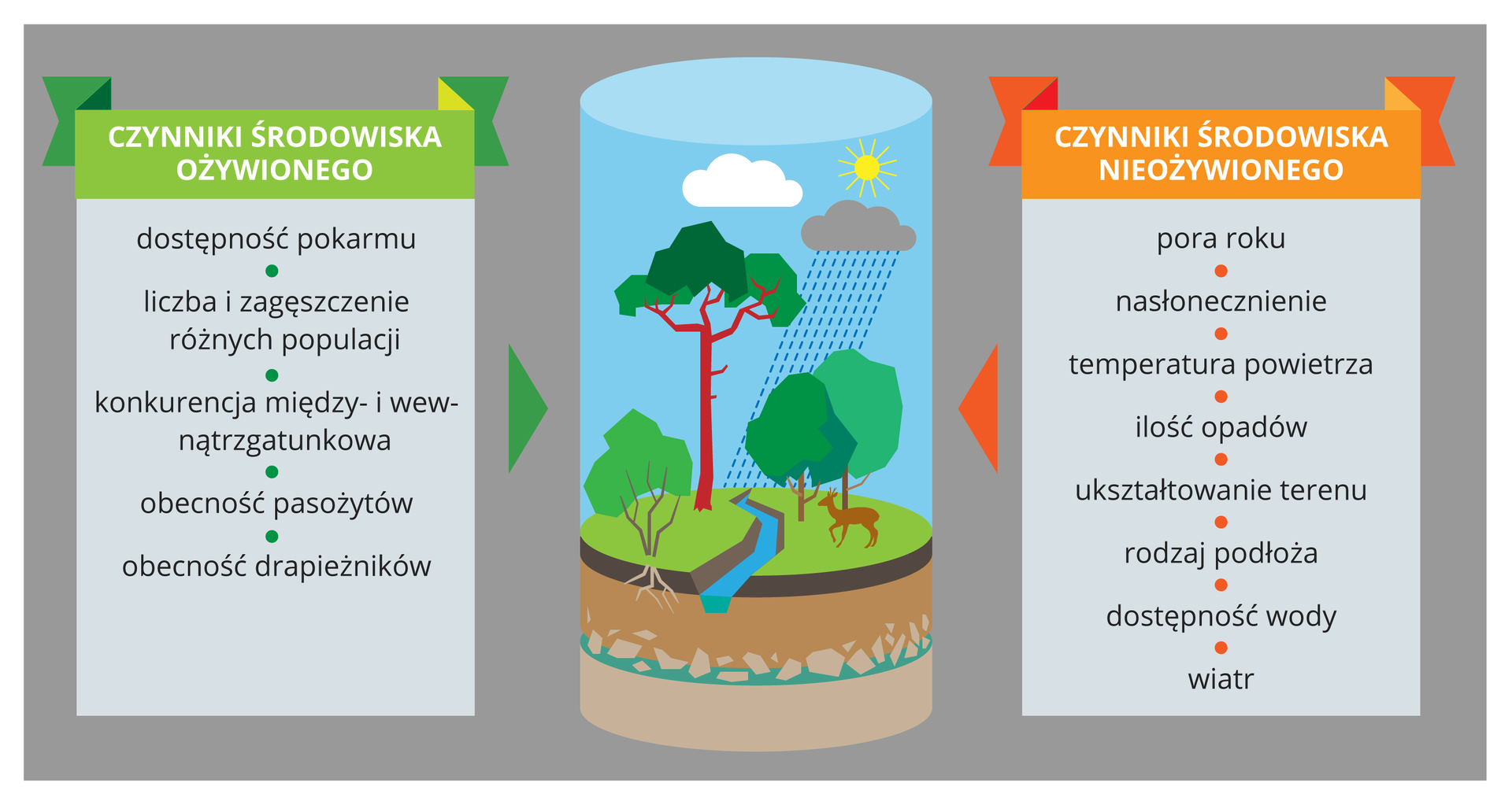 Infografika składa sie z 3 części. Po środku znajduje się schemat ekosystemu lasu. Po prawej stronie wymienione są czynniki środowiska nieożywionego takie jak pora roku i nasłonecznienie, a po lewej środowiska ożywionego, takie jak zagęszczenie osobników i dostepność pokarmu.