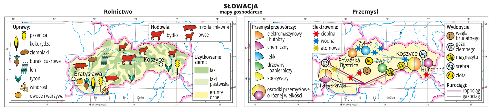 Ilustracja przedstawia dwie mapy gospodarcze Słowacji . Mapa pierwsza – rolnictwo, mapa druga – przemysł. Na mapie rolnictwa tło w kolorze żółtym (grunty orne), jasnozielonym (łąki i pastwiska) i zielonym (lasy). Na mapie sygnatury obrazujące uprawy roślin (pszenica, kukurydza, ziemniaki, buraki cukrowe, len, tytoń, winorośl, owoce i warzywa) oraz hodowlę zwierząt (bydło, trzoda chlewna, owce). Na mapie przemysłu sygnatury kołowe – ośrodki przemysłowe. Duże w Bratysławie, Koszycach, kilka mniejszych. Przemysł elektromaszynowy i hutniczy, chemiczny, lekki, drzewny i papierniczy oraz spożywczy. Kilka elektrowni cieplnych i wodnych oznaczonych kolorowymi gwiazdkami, jedna elektrownia atomowa, ropociąg i gazociąg oznaczone liniami. Sygnaturami oznaczone wydobycie węgla brunatnego, gazu ziemnego, magnezytu, srebra i złota. Obie mapy zawierają południki i równoleżniki, dookoła map w białych ramkach opisano współrzędne geograficzne.