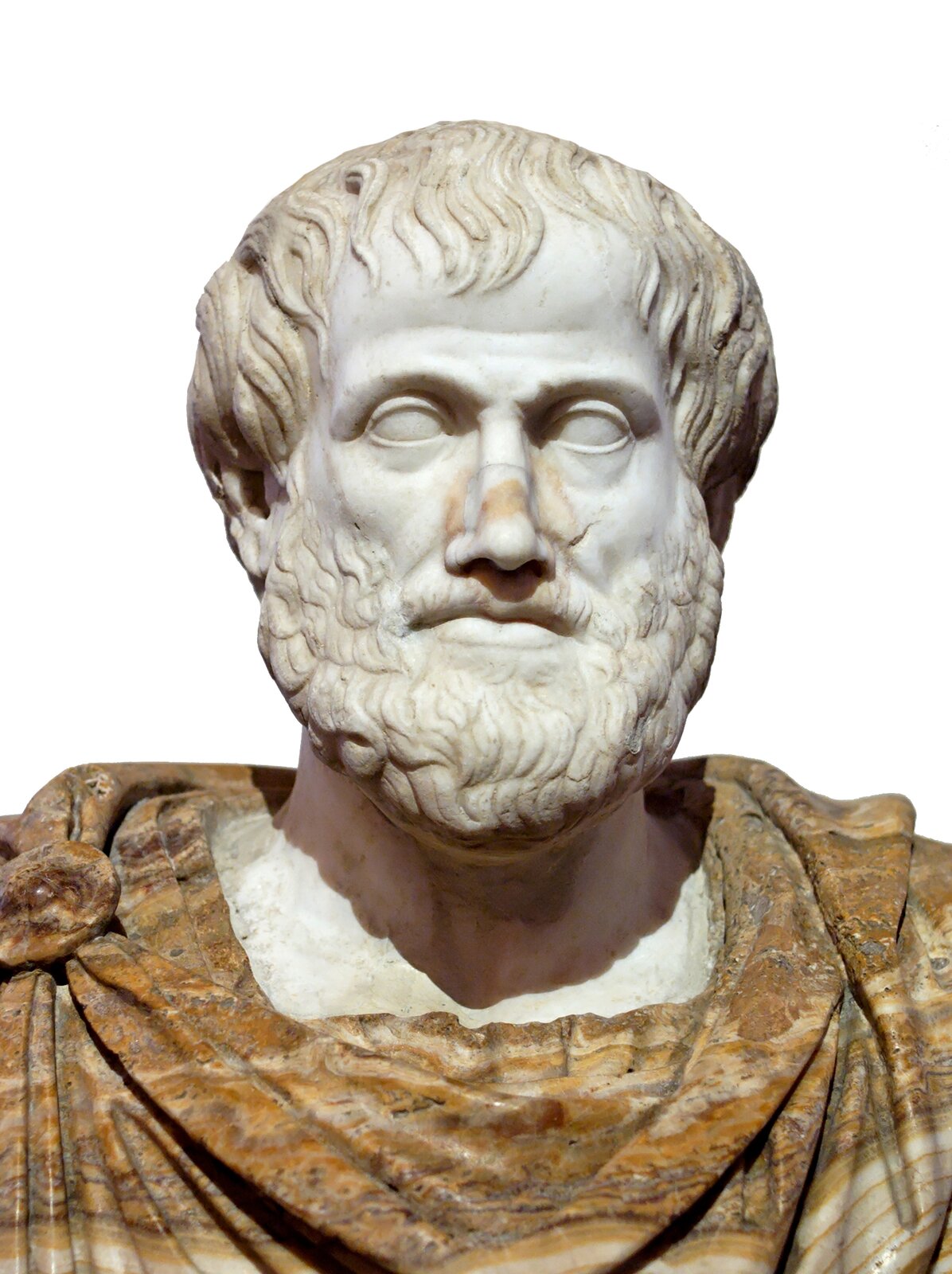 Popiersie Arystotelesa (kopia) Popiersie Arystotelesa (kopia) Źródło: Lysippus, ok. 330 p.n.e, rzeźba, Museo nazionale romano di palazzo Altemps, domena publiczna.
