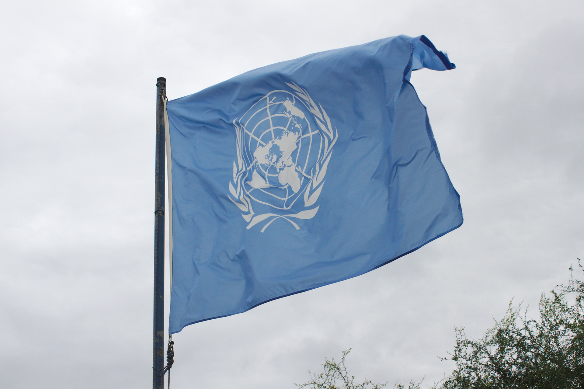 Kolorowe zdjęcie przedstawia flagę ONZ. Niebieska prostokątna flaga zawieszona na maszcie. Flaga powiewa w prawą stronę zdjęcia. Na niebieskiej powierzchni, na środku flagi, białe logo ONZ. Centralna część logo to kula ziemska z białymi konturami kontynentów. Wokół kuli ziemskiej, po lewej i prawej stronie, białe gałązki z liśćmi.