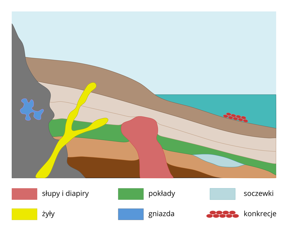 Na ilustracji kolorowy schemat, kilka brązowych warstw ziemi, morze. W warstwach umieszczone i rozróżnione kolorami rodzaje złóż: słupy i diapory, żyły, pokłady, gniazda, soczewki i konkrecje.