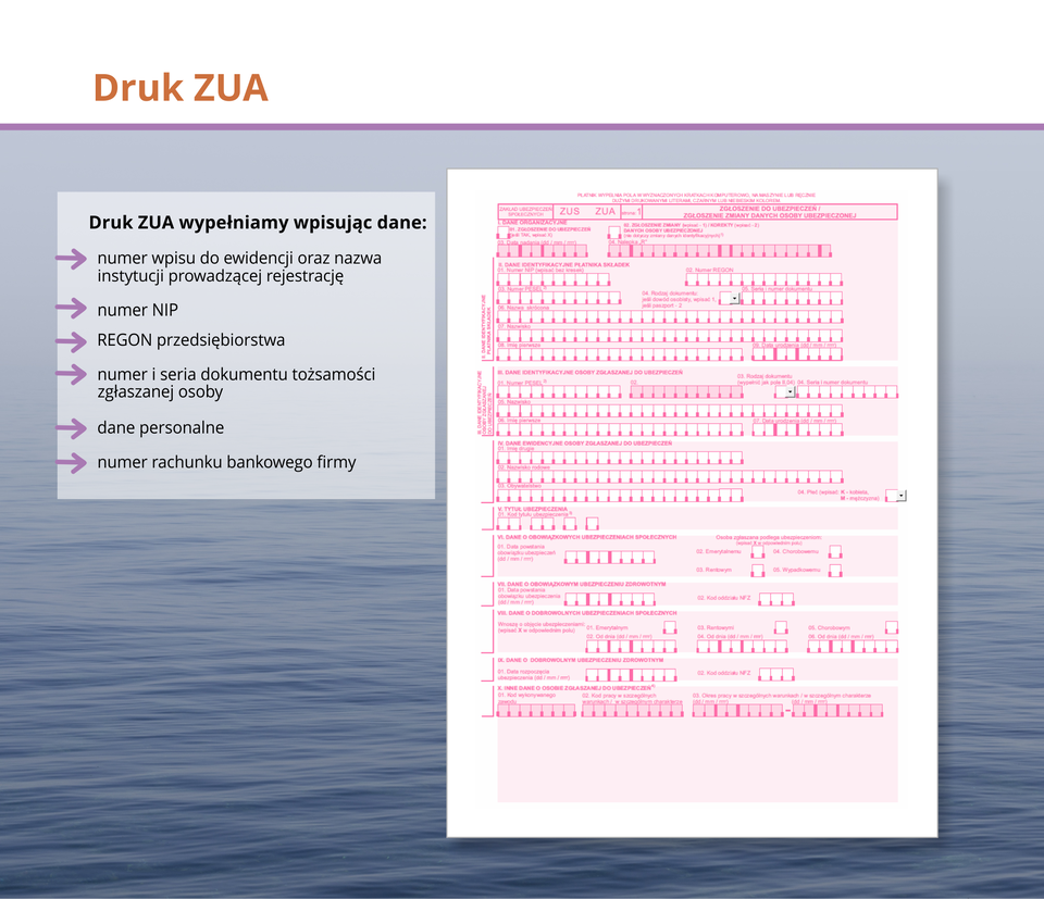 Ilustracja przedstawia druk ZUA.