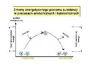 Zmiany poziomu energetycznego substancji w procesach anabolicznych i katabolicznych