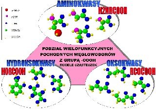Podział wielofunkcyjnych pochodnych węglowodorów zawierających grupę –COOH na hydroksykwasy, oksokwasy i aminokwasy: modele cząsteczek