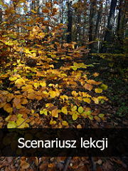 Świat malowany jesiennymi farbami, czyli jesień w poezji i za oknem.