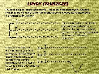 Lipidy (tłuszcze)