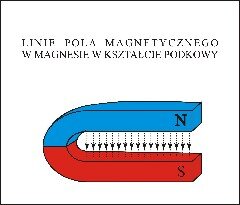 Linie pola magnetycznego w magnesie w kształcie podkowy