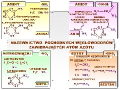 Nazewnictwo pochodnych węglowodorów zawierających azot: amin, amidów, nitrozwiązków i estrów kwasu azotowego(V)