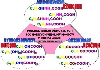Podział wielofunkcyjnych pochodnych węglowodorów zawierających grupę –COOH na hydroksokwasy, oksokwasy i aminokwasy: wzory sumaryczne