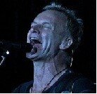 A day with Sting (Top Musicians 8) - szablon