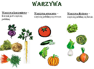 Rodzaje warzyw