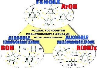 Podział jednofunkcyjnych pochodnych węglowodorów na alkohole jednowodorotlenowe, alkohole wielowodorotlenowe i fenole: wzory strukturalne