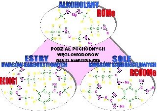 Podział jednofunkcyjnych pochodnych węglowodorów na alkoholany, estry kwasów karboksylowych i sole kwasów karboksylowych: wzory elektronowe