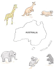 Australia - przyporządkuj zwierzątka