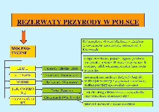 Rezerwaty przyrody w Polsce - biocenotyczne